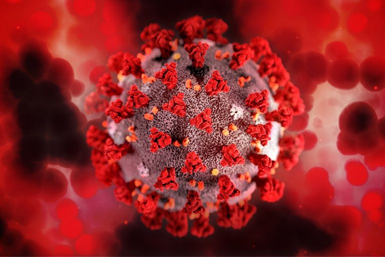 coronavirus, virus, pandemic-6557675.jpg